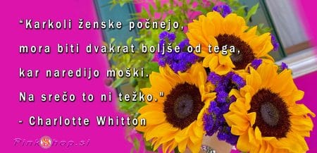 Verzi, Pinkshop.si