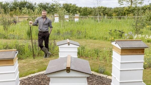 David Beckham med svojimi panji