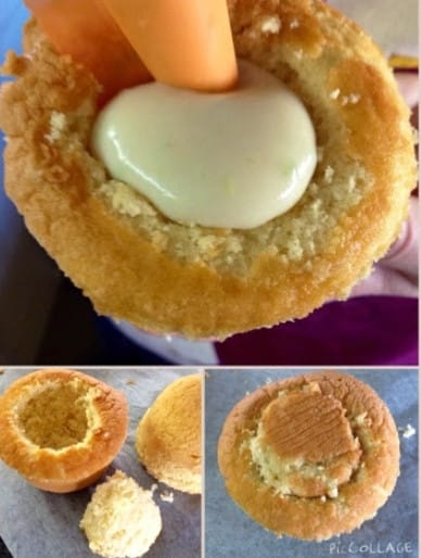 Delizia al Limone, spletni vir