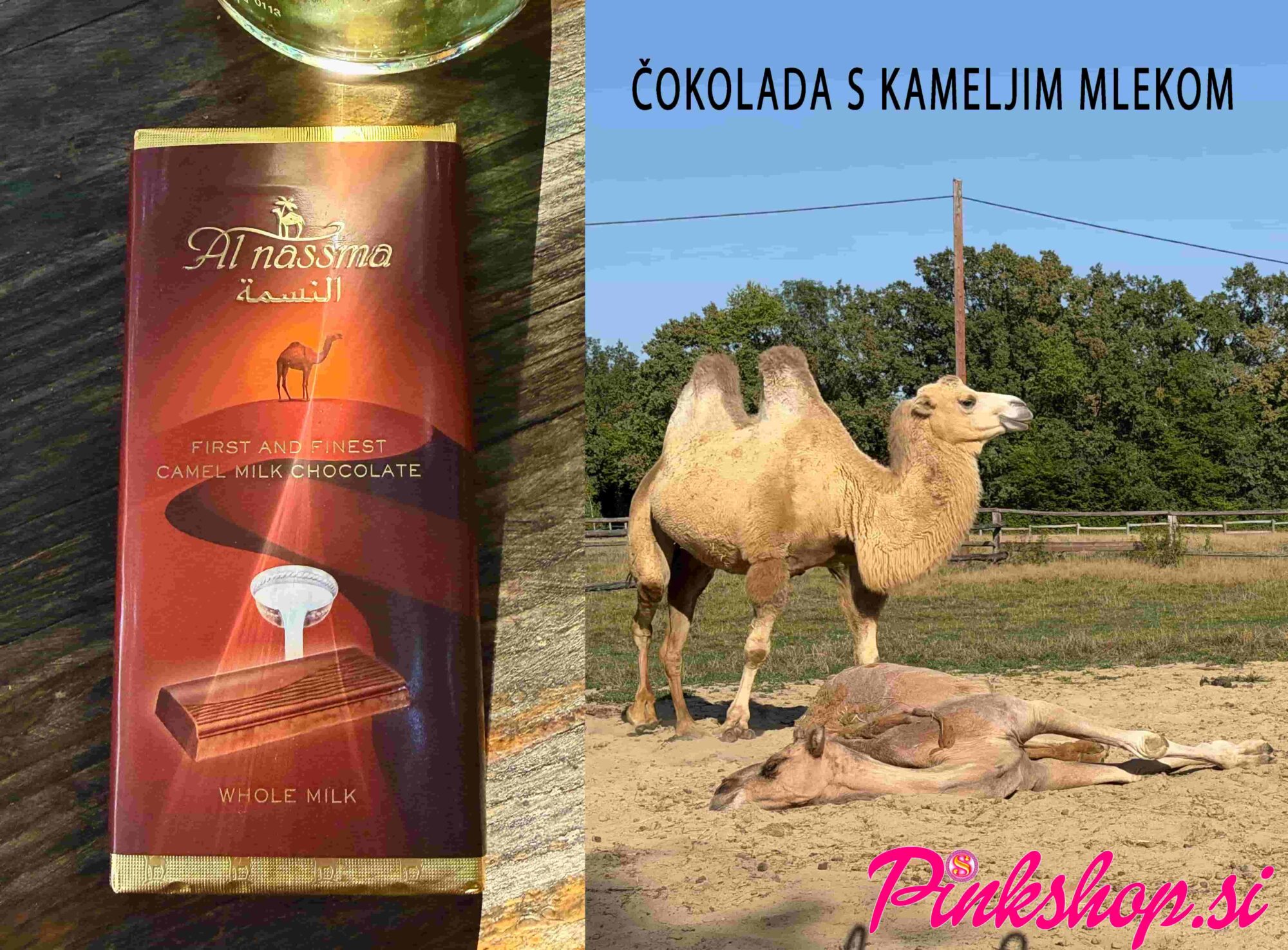 Kamelja čokolada, čokolada s kameljim mlekom, foto Pinkshop.si