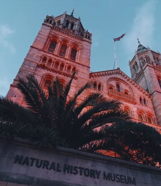 Natural History Museum, London