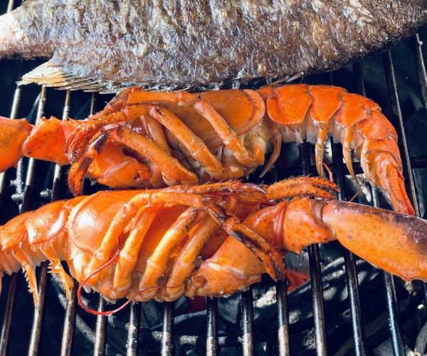 Pečeni škampi, Pinkshop.si